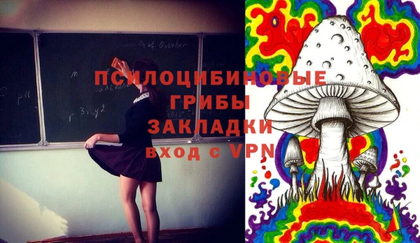 МДПВ Елабуга