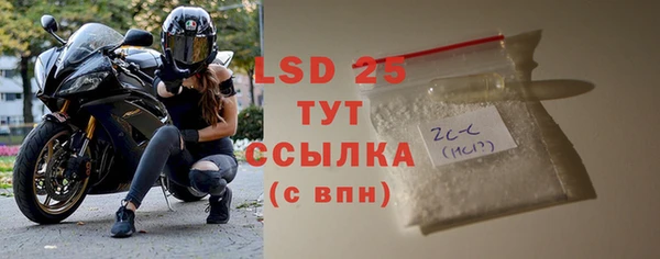 стаф Елизово