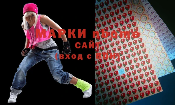 стаф Елизово