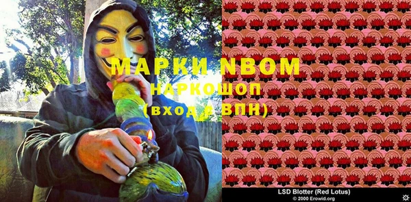 МДПВ Елабуга