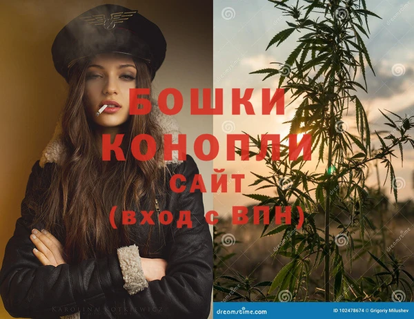 стаф Елизово