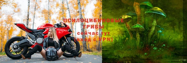 МДПВ Елабуга