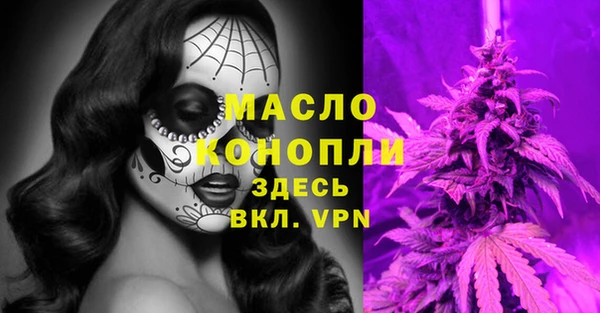 МДПВ Елабуга
