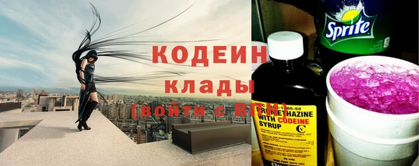 МДПВ Елабуга