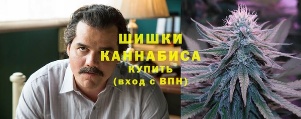 стаф Елизово