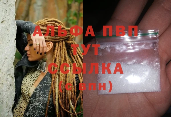 стаф Елизово